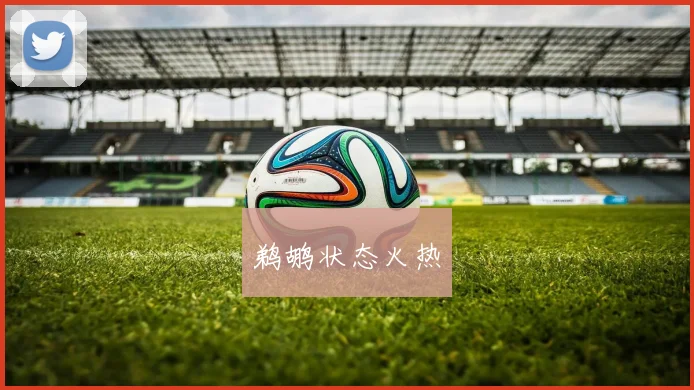 鹈鹕状态火热