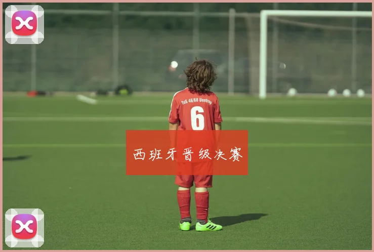 西班牙晋级决赛