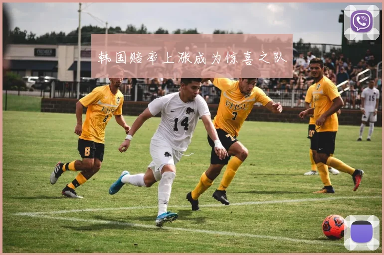 韩国赔率上涨成为惊喜之队