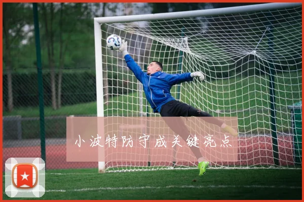 小波特防守成关键亮点