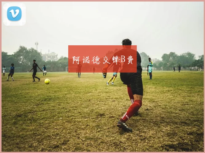 阿诺德交锋B费