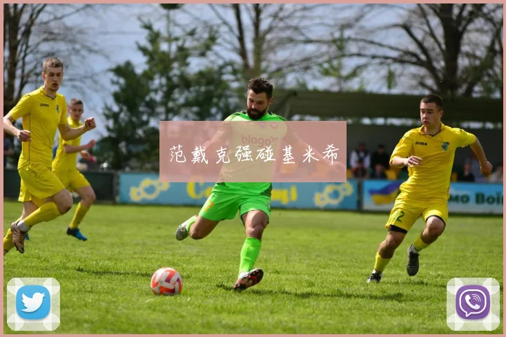 范戴克强碰基米希