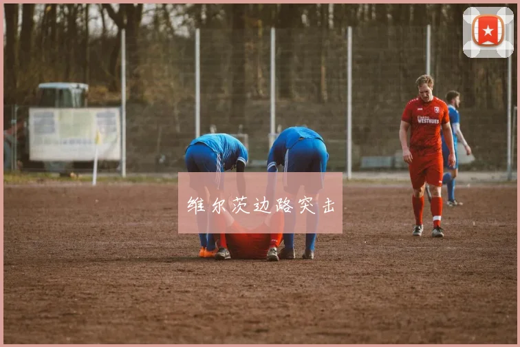 维尔茨边路突击