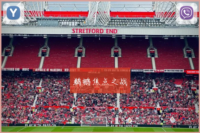 鹈鹕焦点之战