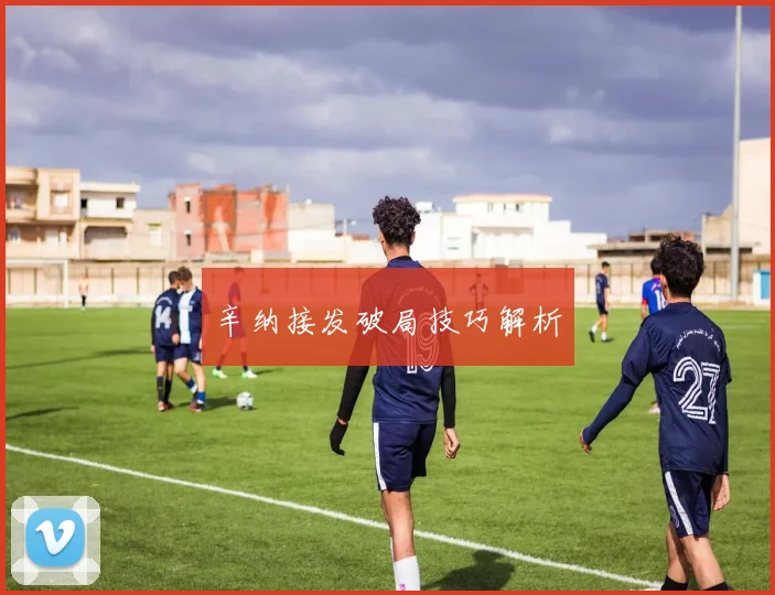 辛纳接发破局技巧解析