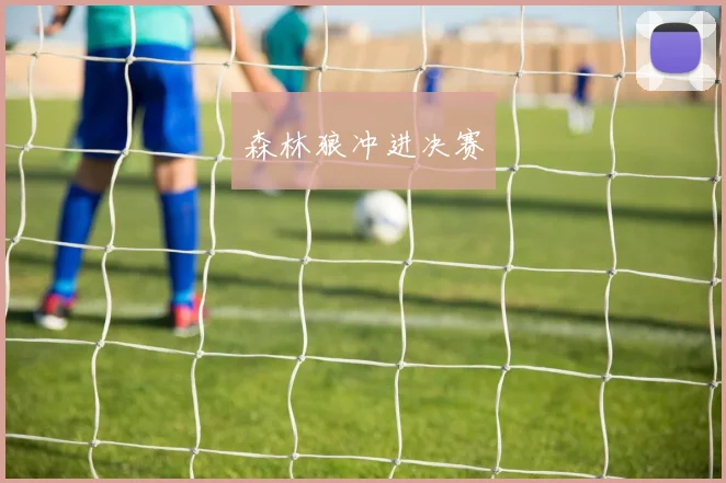 森林狼冲进决赛