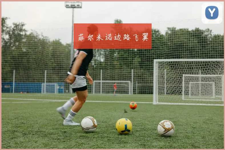 菲尔米诺边路飞翼