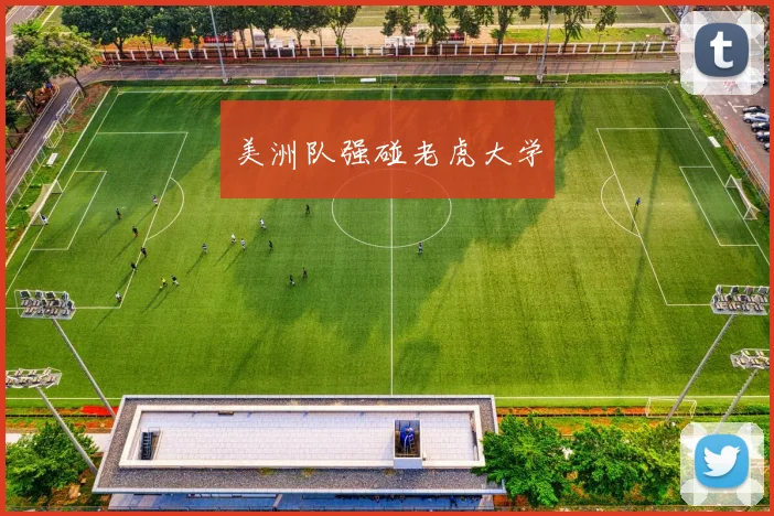 美洲队强碰老虎大学