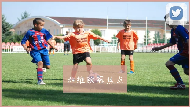 加维欧冠焦点