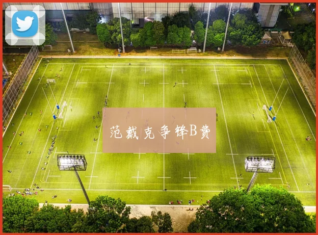 范戴克争锋B费