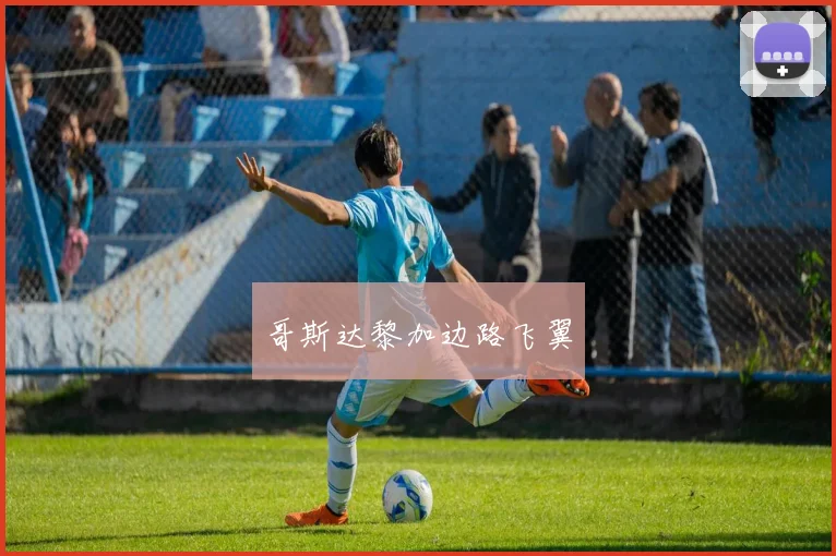 哥斯达黎加边路飞翼