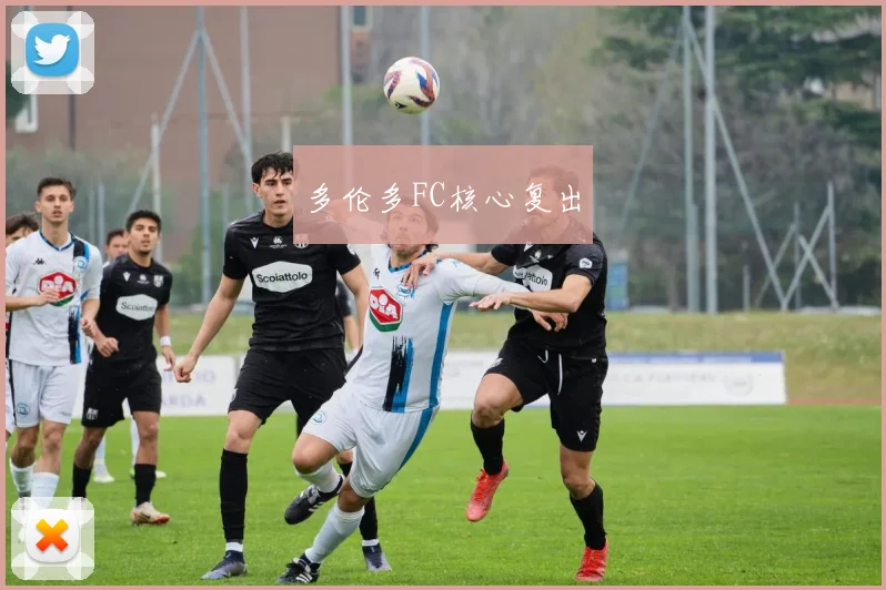 多伦多FC核心复出