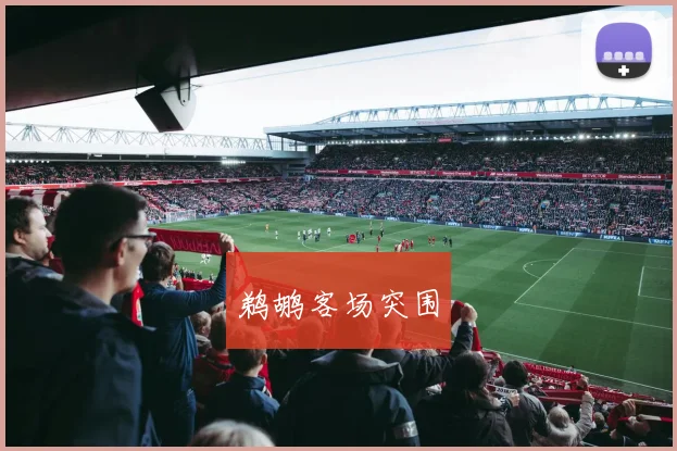 鹈鹕客场突围