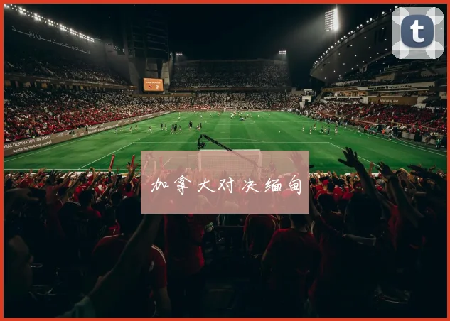 加拿大对决缅甸