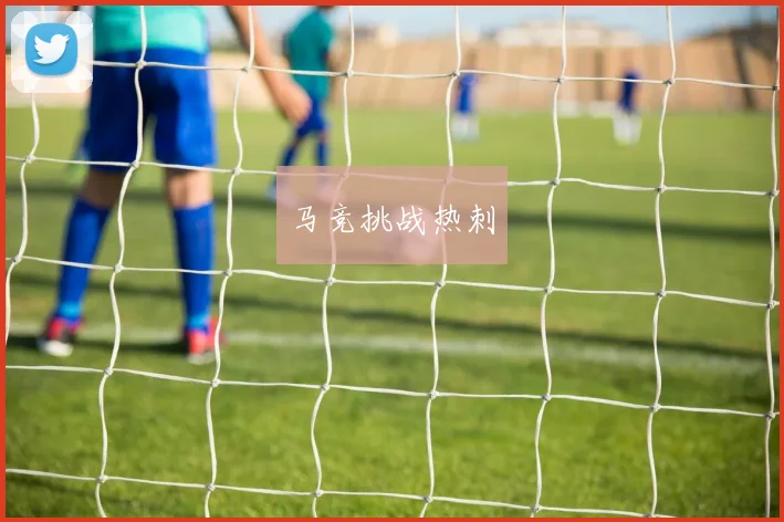 马竞挑战热刺