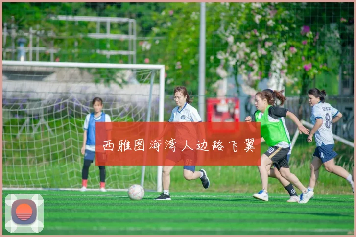 西雅图海湾人边路飞翼