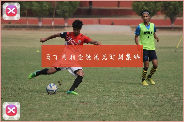 马丁内利全场高光时刻集锦