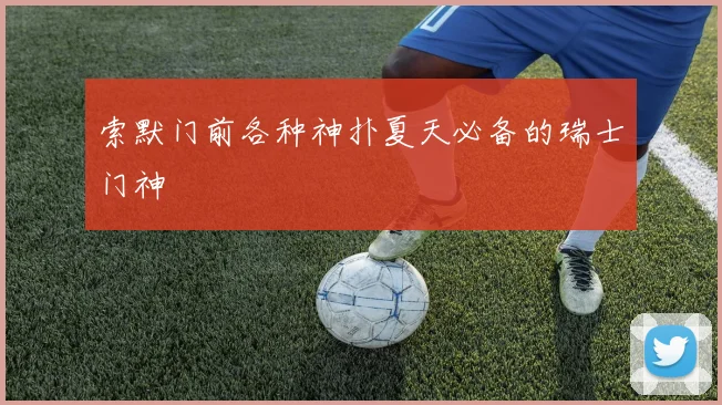索默门前各种神扑夏天必备的瑞士门神