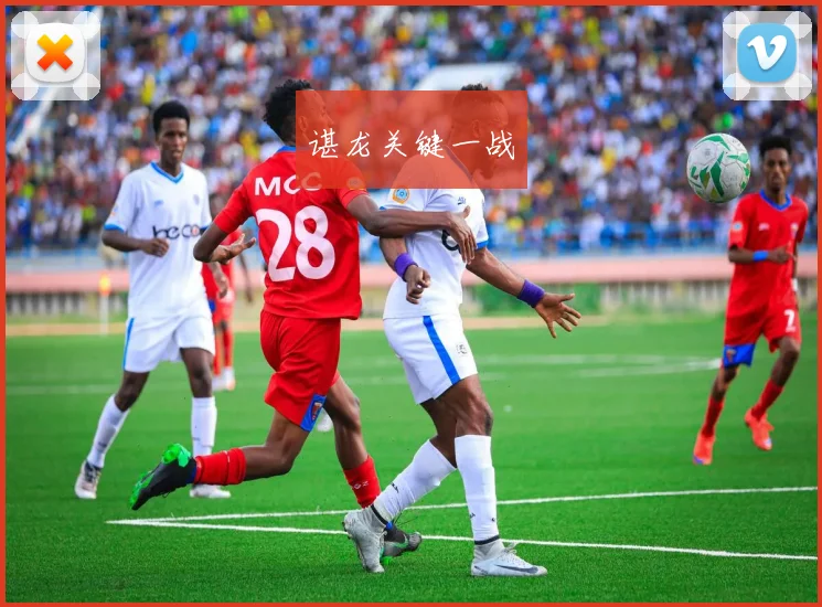 谌龙关键一战
