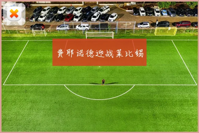 费耶诺德迎战莱比锡