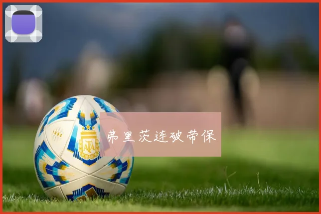 弗里茨连破带保
