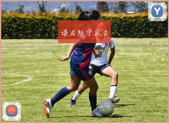 谌龙防守反击