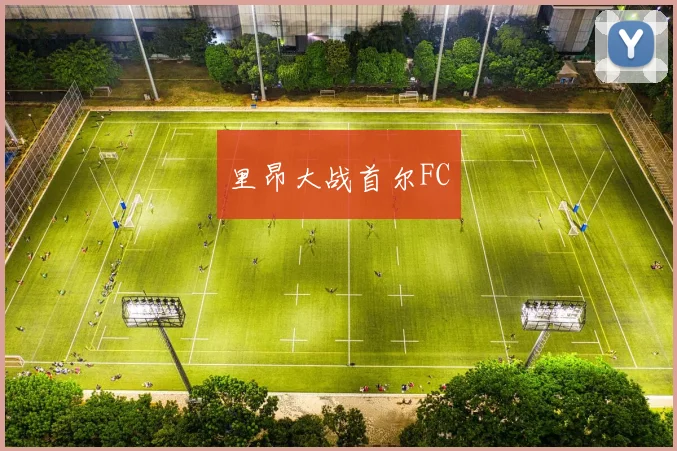 里昂大战首尔FC