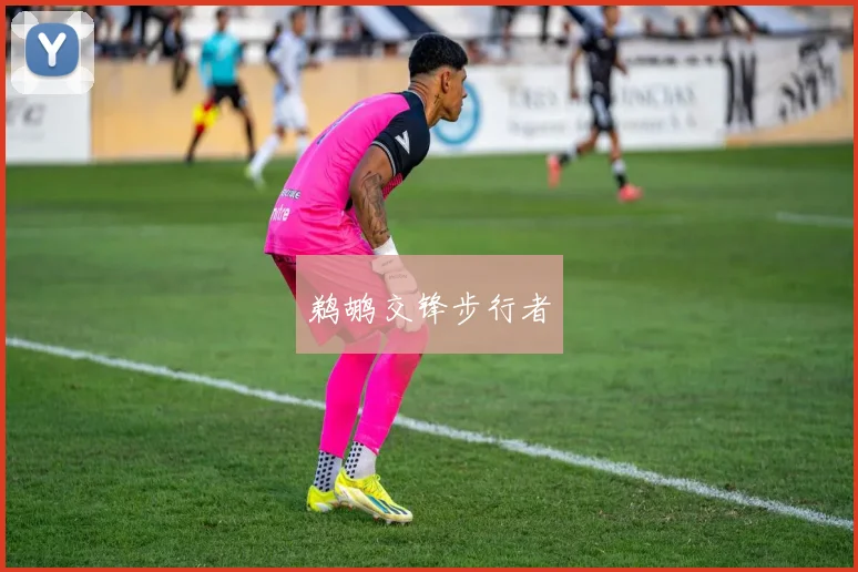 鹈鹕交锋步行者