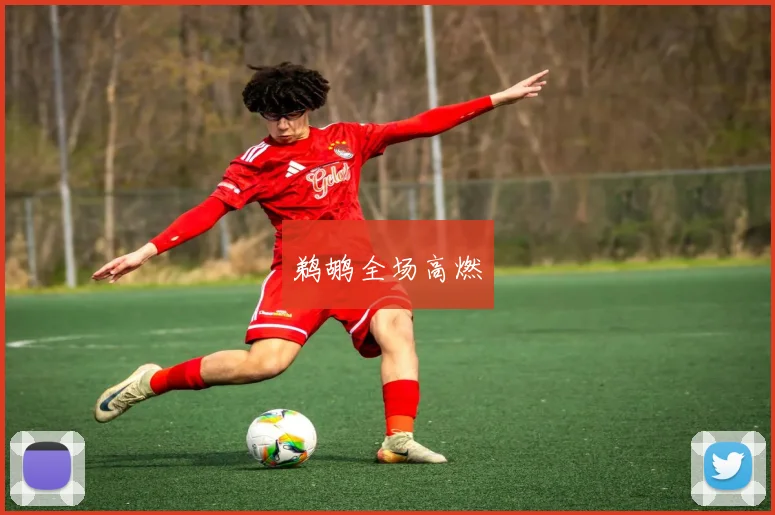 鹈鹕全场高燃