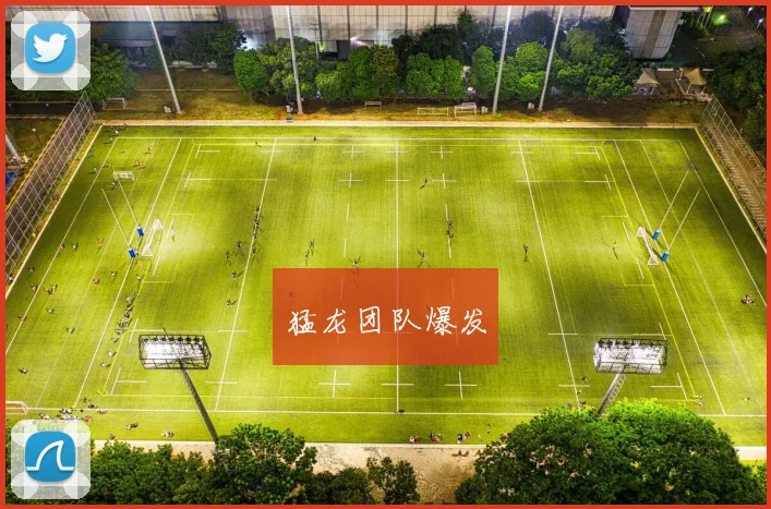 猛龙团队爆发