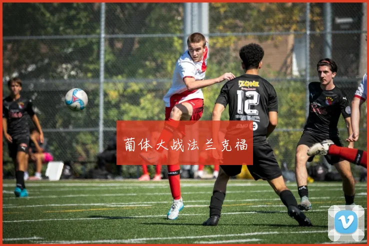 葡体大战法兰克福