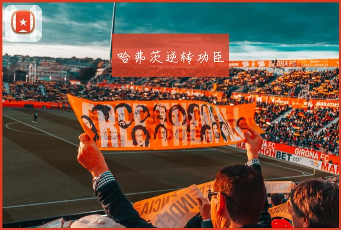 哈弗茨逆转功臣