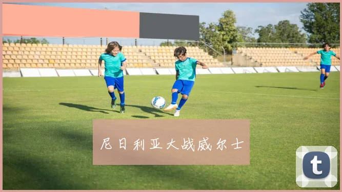 尼日利亚大战威尔士