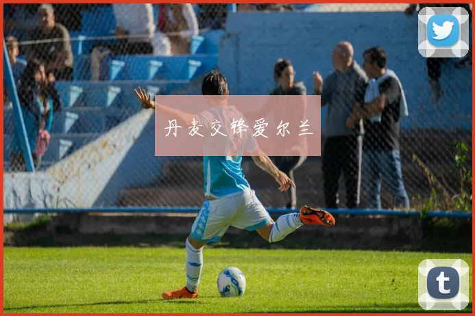 丹麦交锋爱尔兰