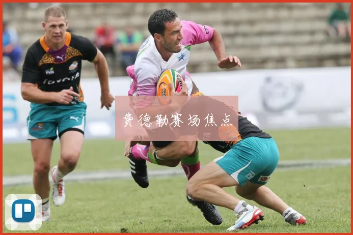 费德勒赛场焦点