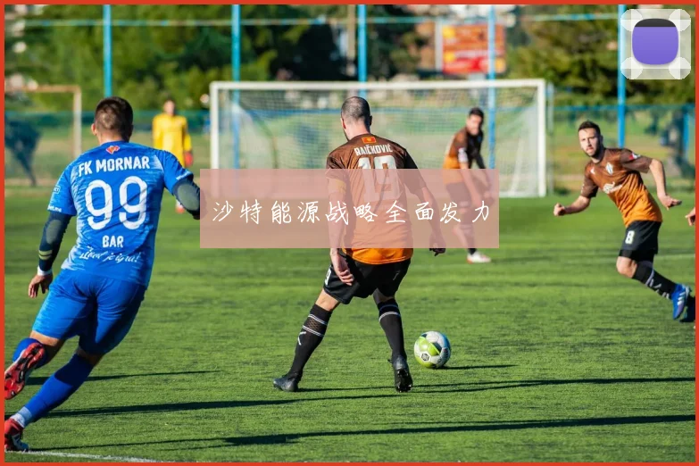 沙特能源战略全面发力