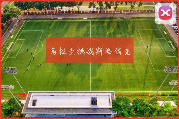 乌拉圭挑战斯洛伐克