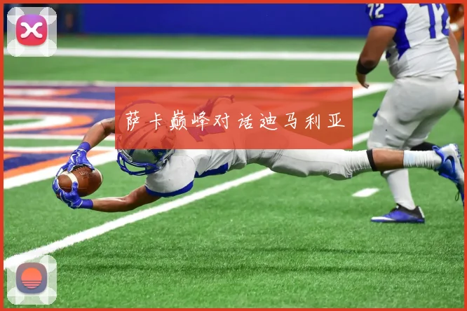 萨卡巅峰对话迪马利亚