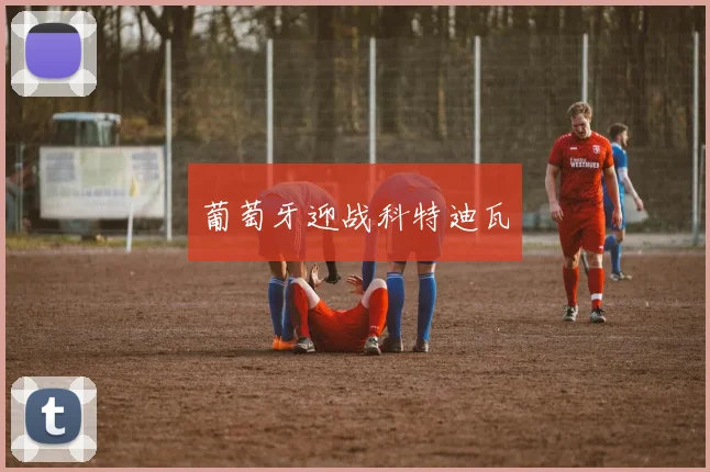 葡萄牙迎战科特迪瓦