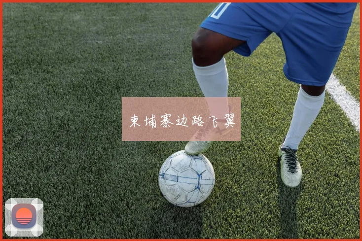 柬埔寨边路飞翼