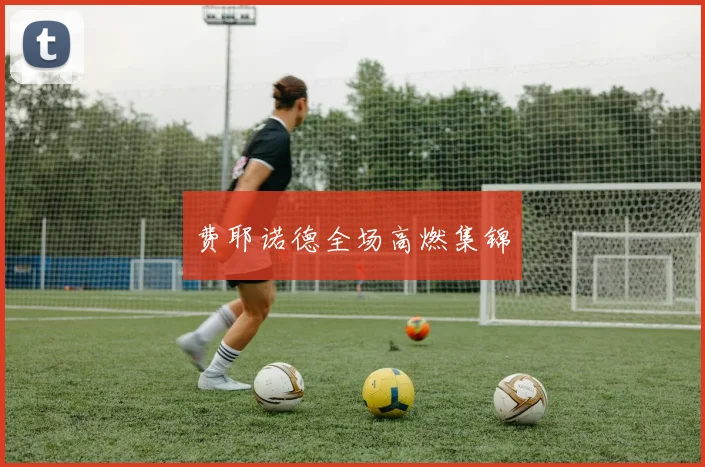 费耶诺德全场高燃集锦