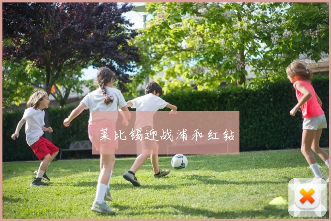 莱比锡迎战浦和红钻