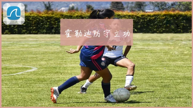 霍勒迪防守立功