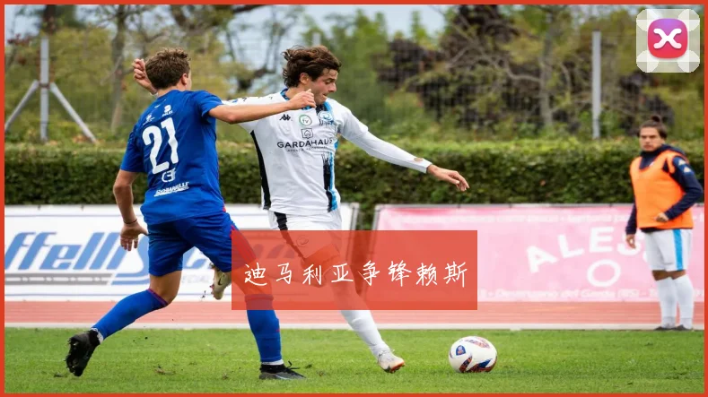 迪马利亚争锋赖斯