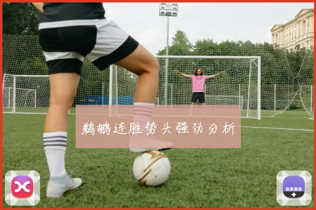 鹈鹕连胜势头强劲分析