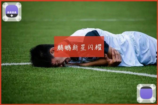 鹈鹕新星闪耀