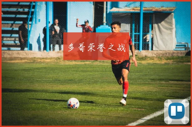 多哥荣誉之战