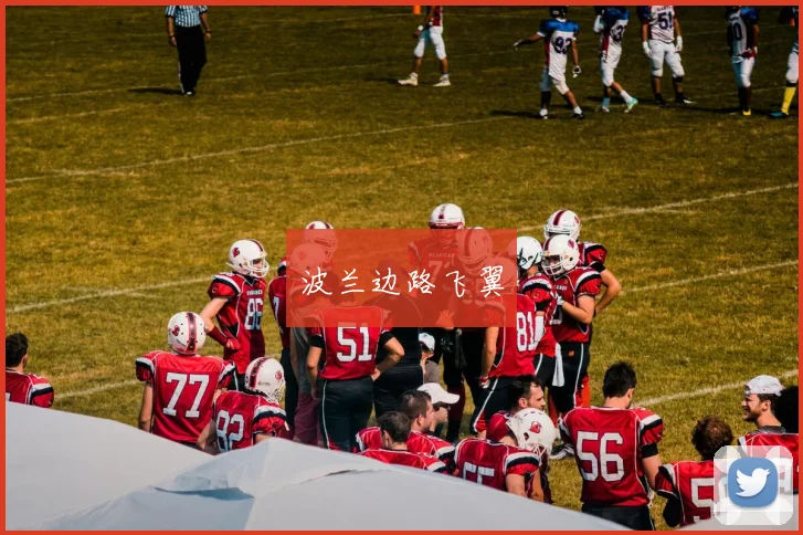 波兰边路飞翼