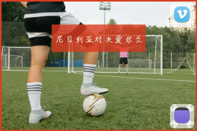 尼日利亚对决爱尔兰