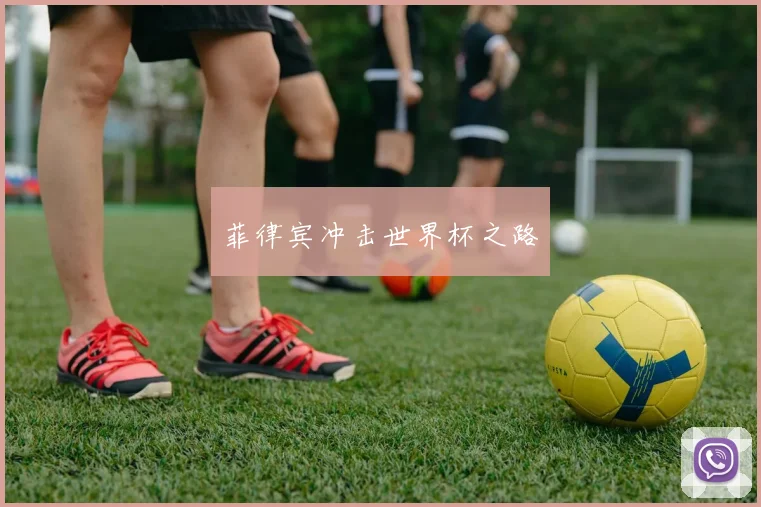 菲律宾冲击世界杯之路